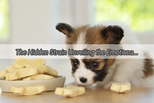 The Hidden Strain Unveiling the Emotional Impact of Dog Training